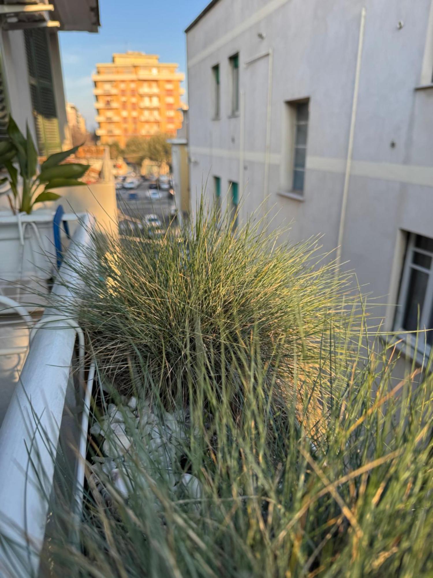 Okra Apartment Pescara Centro Eksteriør billede